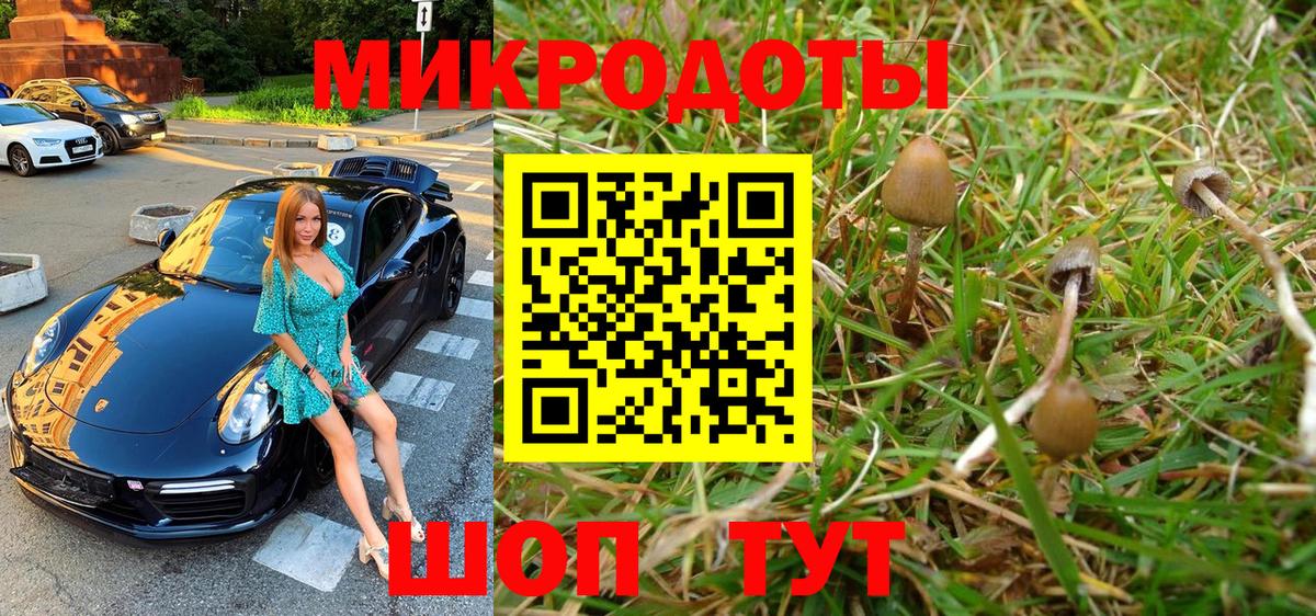 Галлюциногенные грибы GOLDEN TEACHER Саянск